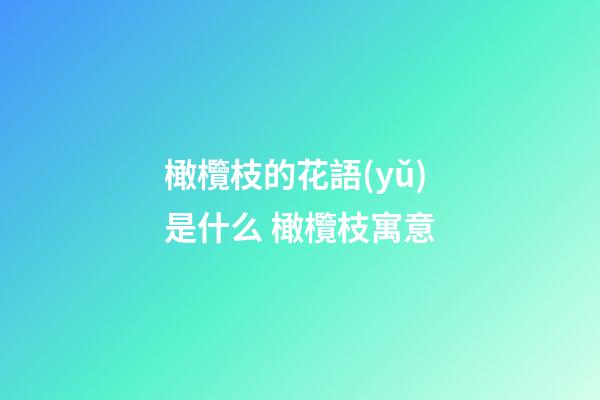 橄欖枝的花語(yǔ)是什么 橄欖枝寓意